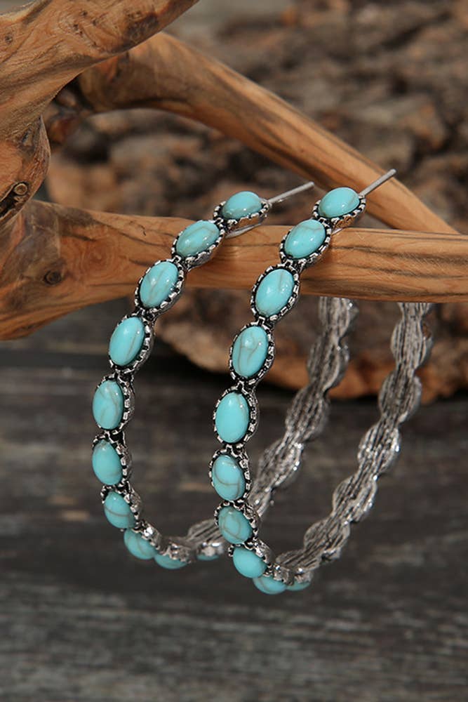Round Stone Earrings