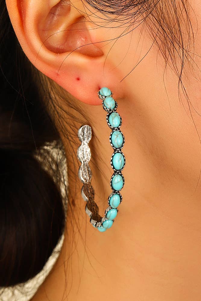 Round Stone Earrings