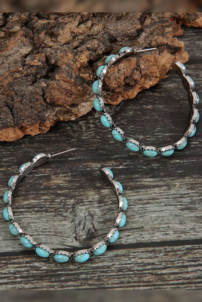 Round Stone Earrings